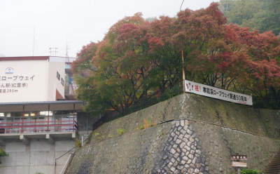 131102-33.jpg