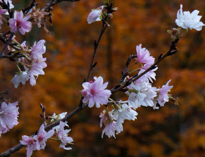 131208-07.jpg