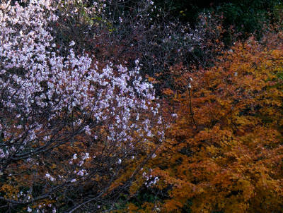 131208-08.jpg