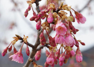 140209-30.jpg
