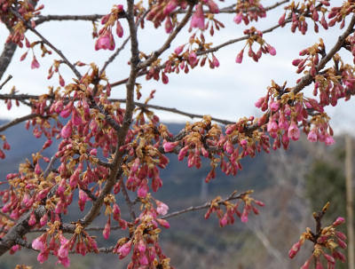 140209-31.jpg