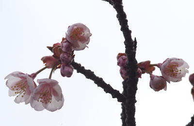 140209-33.jpg