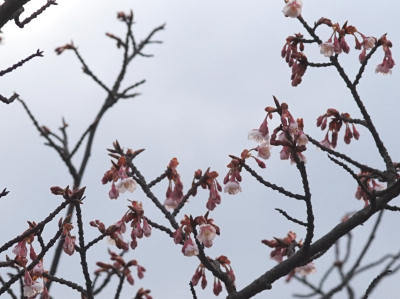 140209-34.jpg
