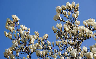 140323-12.jpg