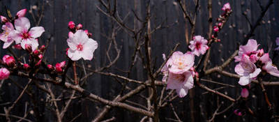 140323-13.jpg