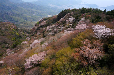 140419-01.jpg