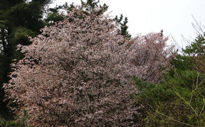 140419-04.jpg