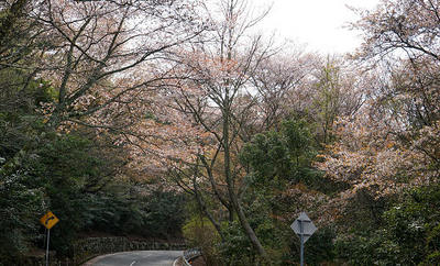 140419-05.jpg