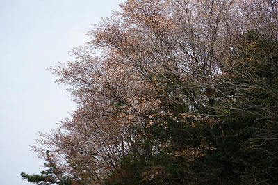 140419-06.jpg