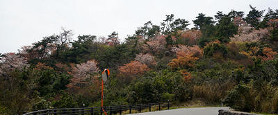 140419-07.jpg