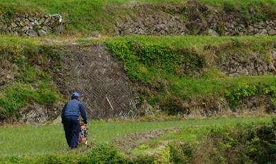 140420-05.jpg