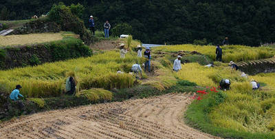 140920-19.jpg