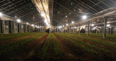 140928-28.jpg