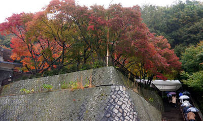 141109-06.jpg