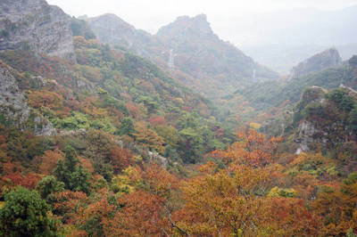 141109-10.jpg