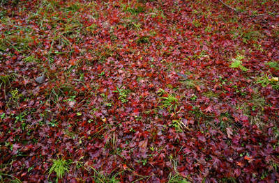 141109-11.jpg