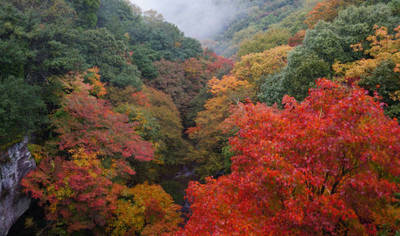 141109-12.jpg