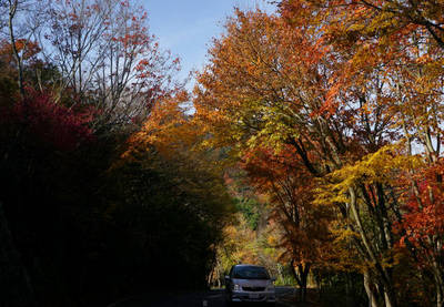 141116-13.jpg