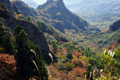 141116-14.jpg