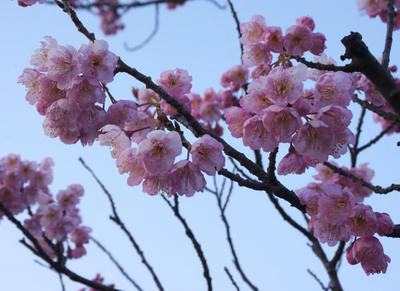150222-63.jpg