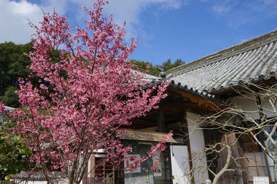 150307-05.jpg