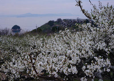 150314-54.jpg