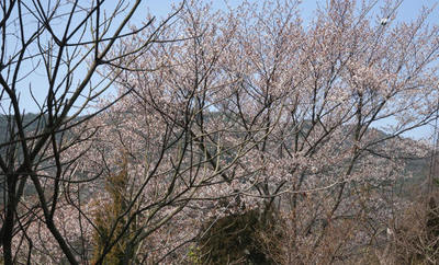 150321-16.jpg