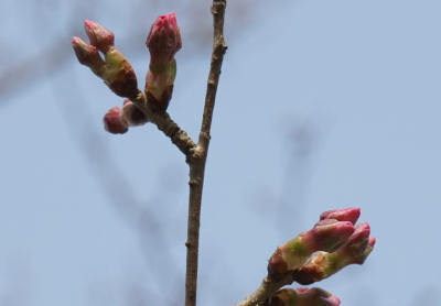 150321-20.jpg