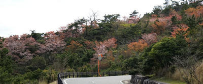 150418-04.jpg