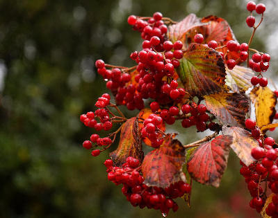 151108-38.jpg