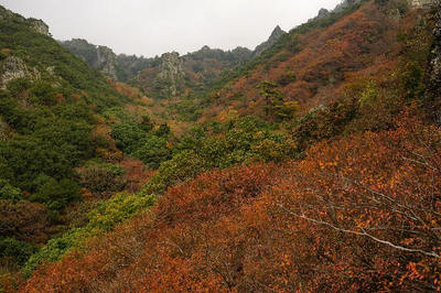 151115-20.jpg