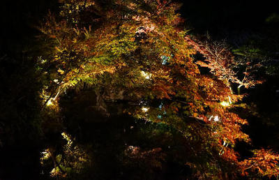 151122-04.jpg