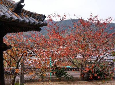 151129-12.jpg