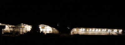 151213-11.jpg
