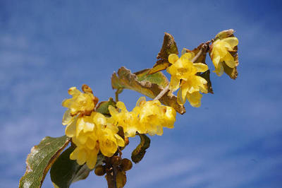 151220-34.jpg