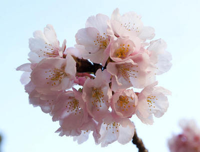 160304-02a.jpg