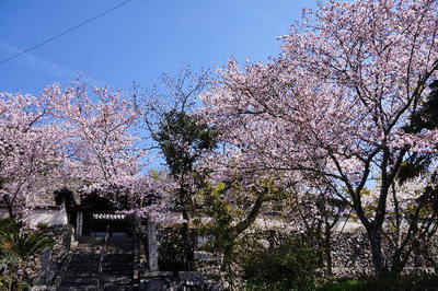 160402-04.jpg