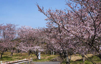 160402-05.jpg