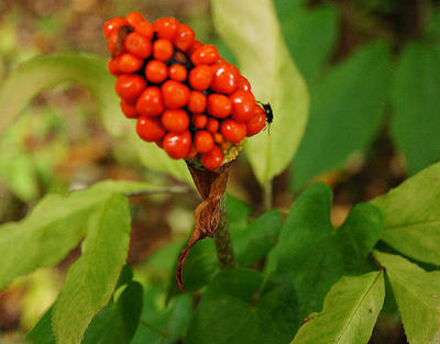 161023-15.jpg