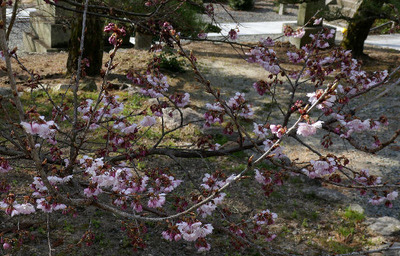 170318-02.jpg