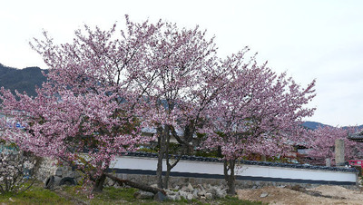 170318-03.jpg