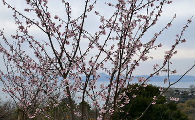 170318-04.jpg