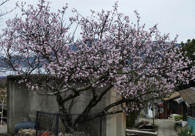 170326-09.jpg