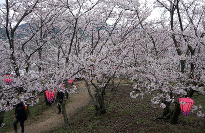 170409-02.jpg
