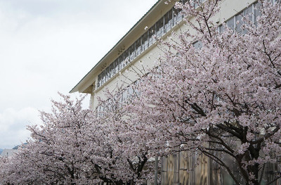 170409-04.jpg