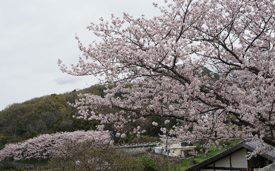 170409-07.jpg