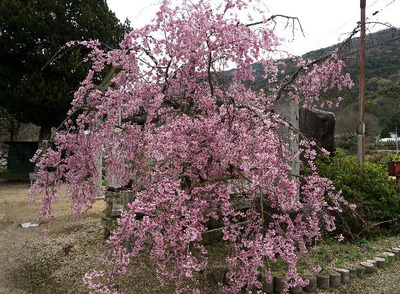 170409-11.jpg