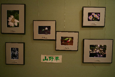 170507-10.jpg