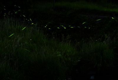 170520-23.jpg