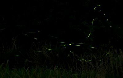 170520-24.jpg